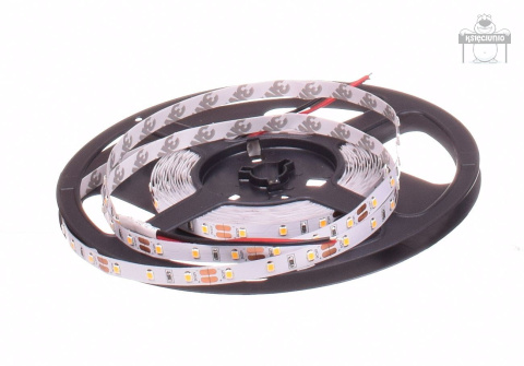 Taśma 300 led ip20 3528 5m zimna