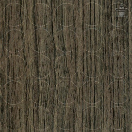 FOLMAG zaślepka samoprzylepna 121 DĄB WARSZAWA